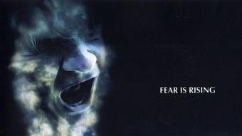 止水之下在线观看,揭秘神秘事件的悬疑之旅